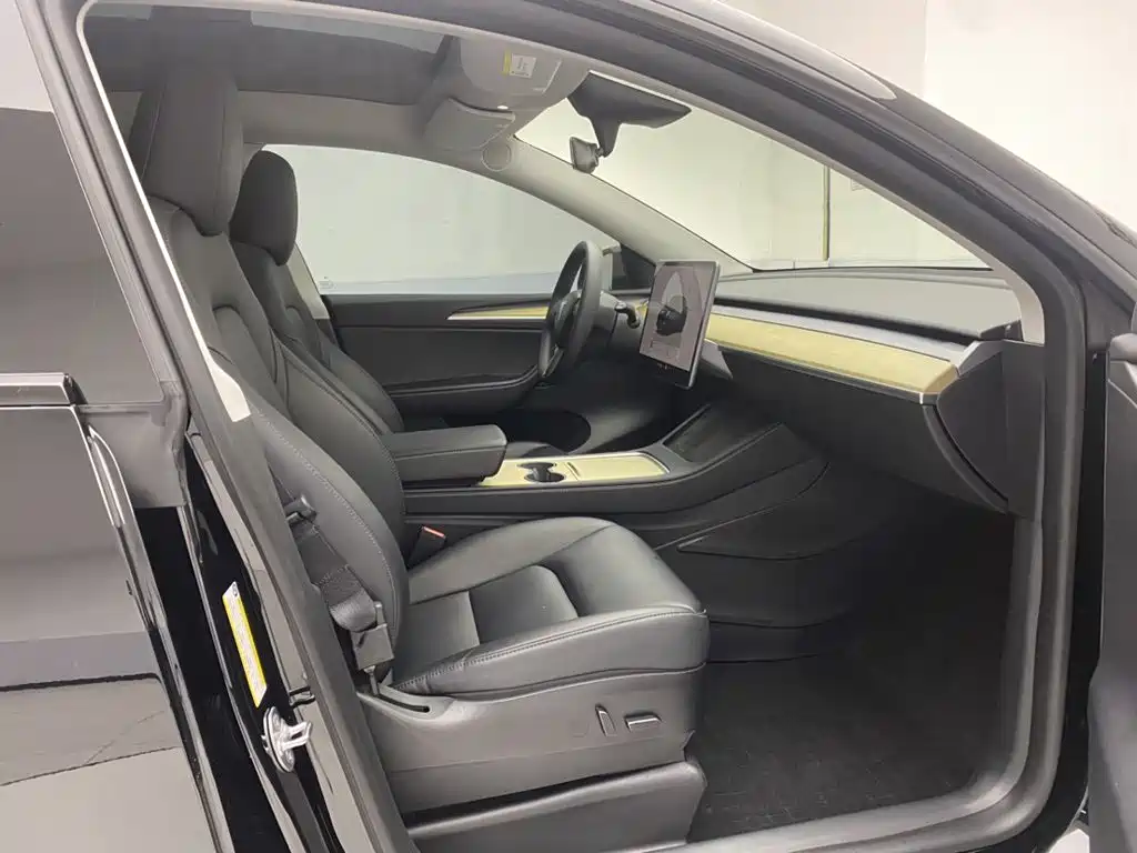 Tesla Model Y — миниатюра 18
