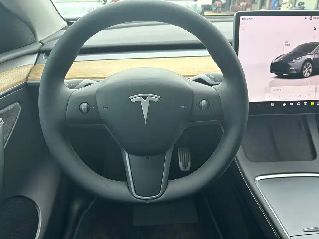 Tesla Model Y — миниатюра 10