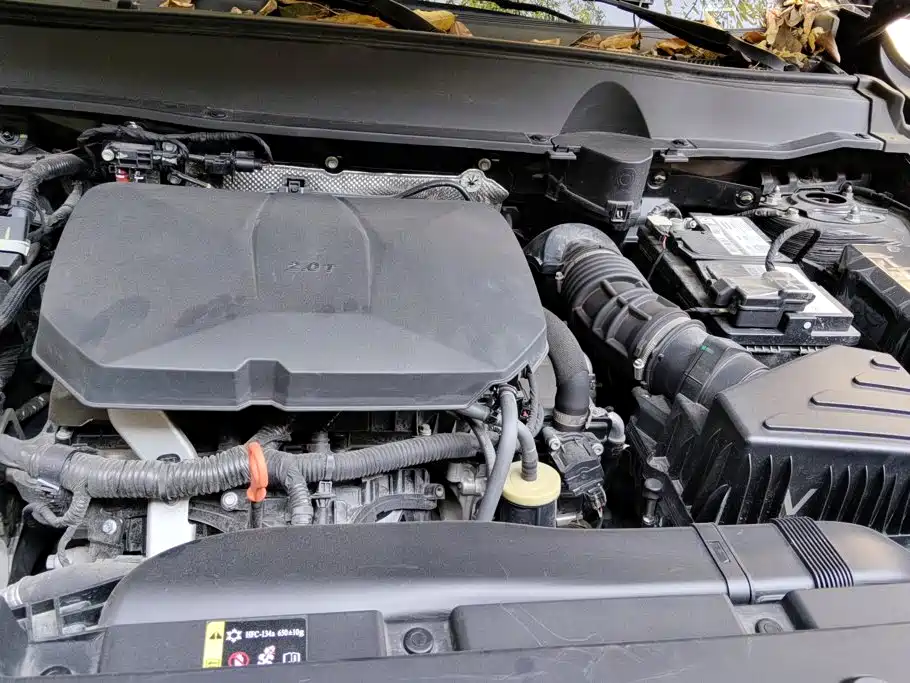 Haval Big Dog PLUS — миниатюра 10