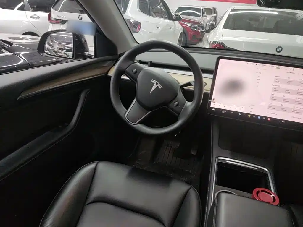Tesla Model Y — миниатюра 11
