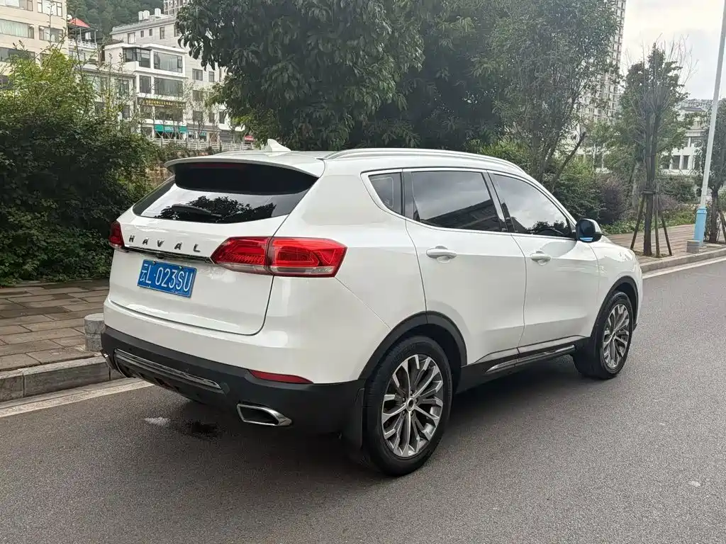Haval H6 — миниатюра 7