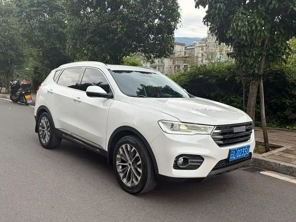 Haval H6 — миниатюра 2