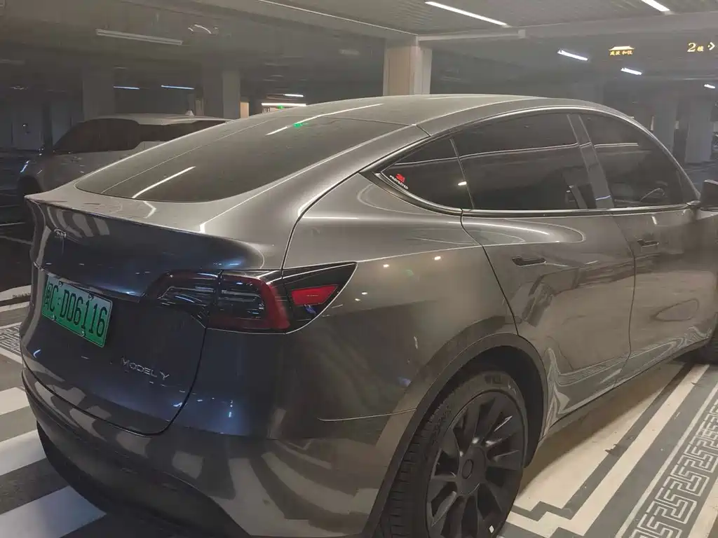 Tesla Model Y — миниатюра 7