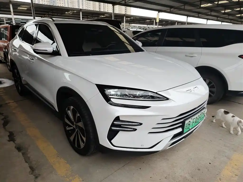 BYD SONGJIANG NEW ENERGY