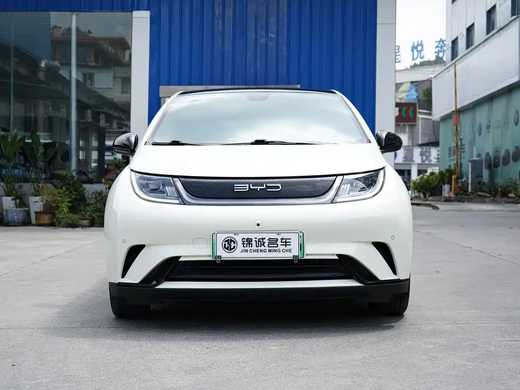 BYD Dolphin — миниатюра 2