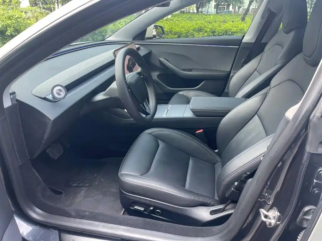 Tesla Model 3 — миниатюра 4