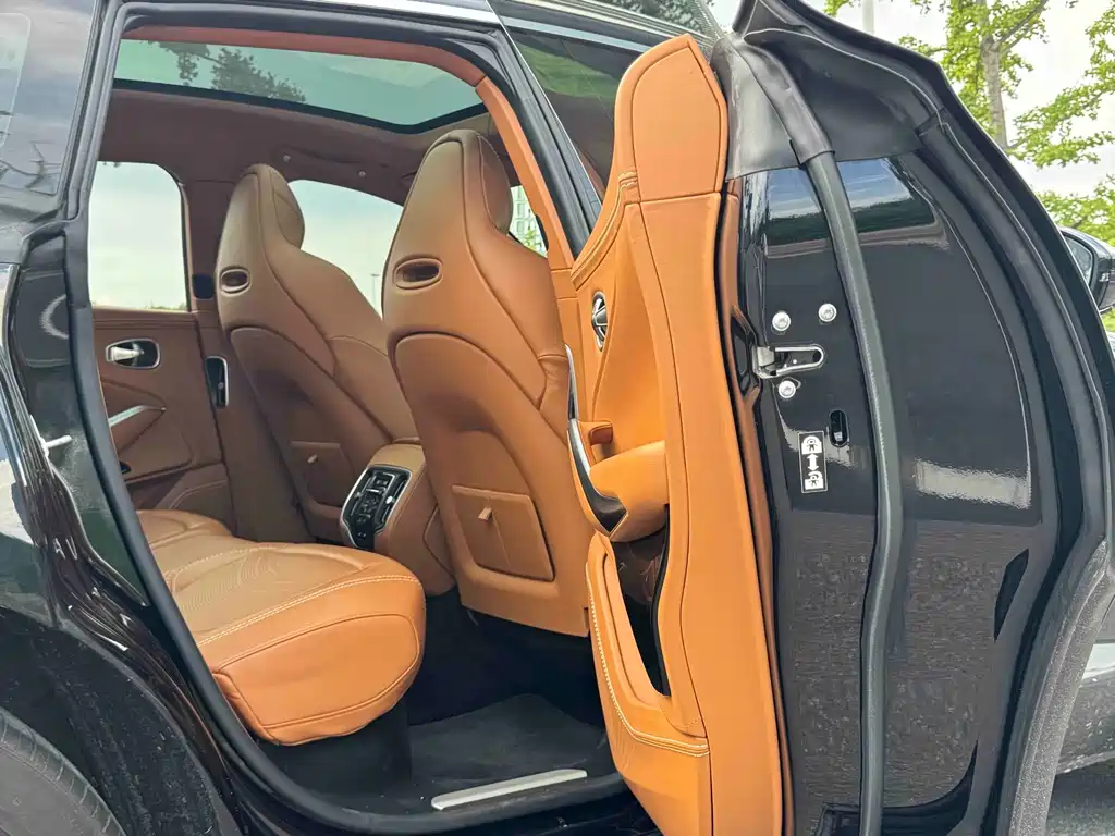 Aston Martin DBX — миниатюра 15