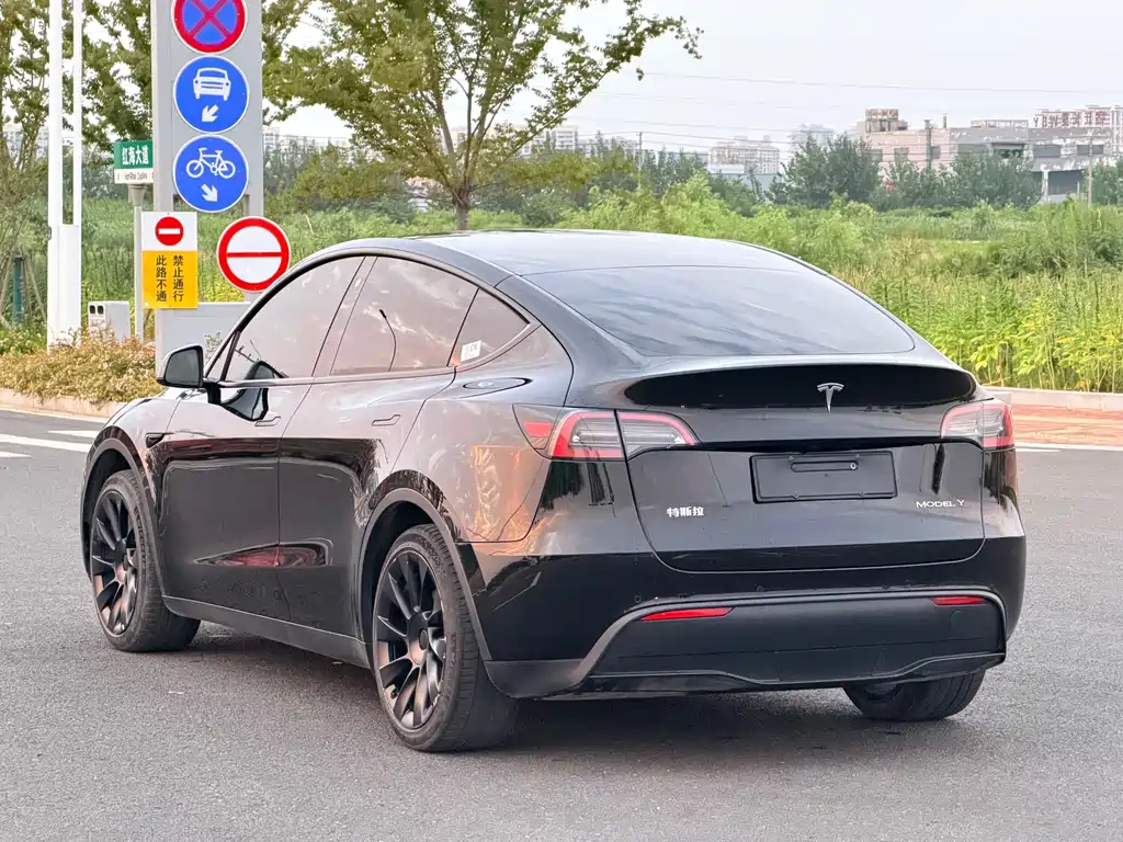 Tesla Model Y — миниатюра 9