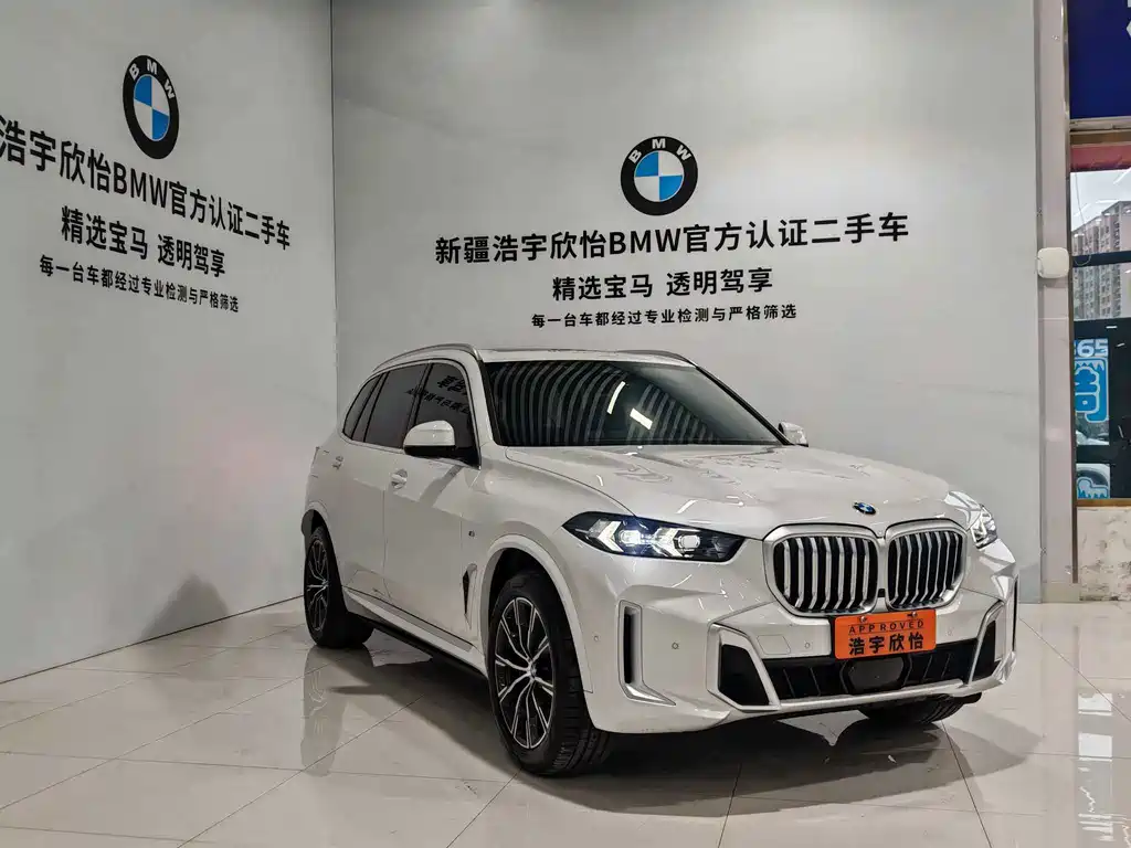 BMW X5 — миниатюра 3