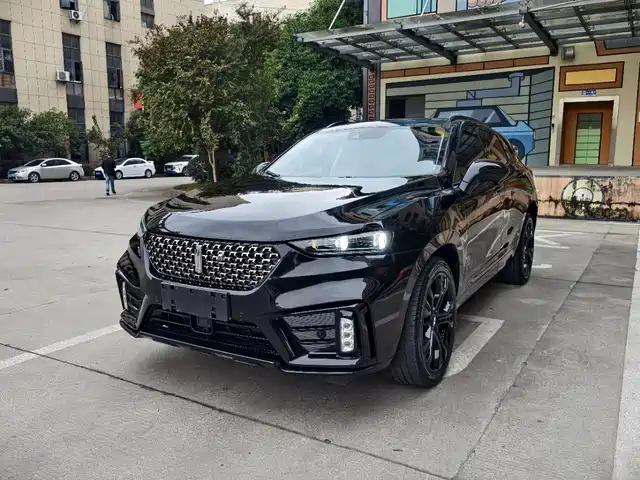 WEI PAI WEI BRAND VV7