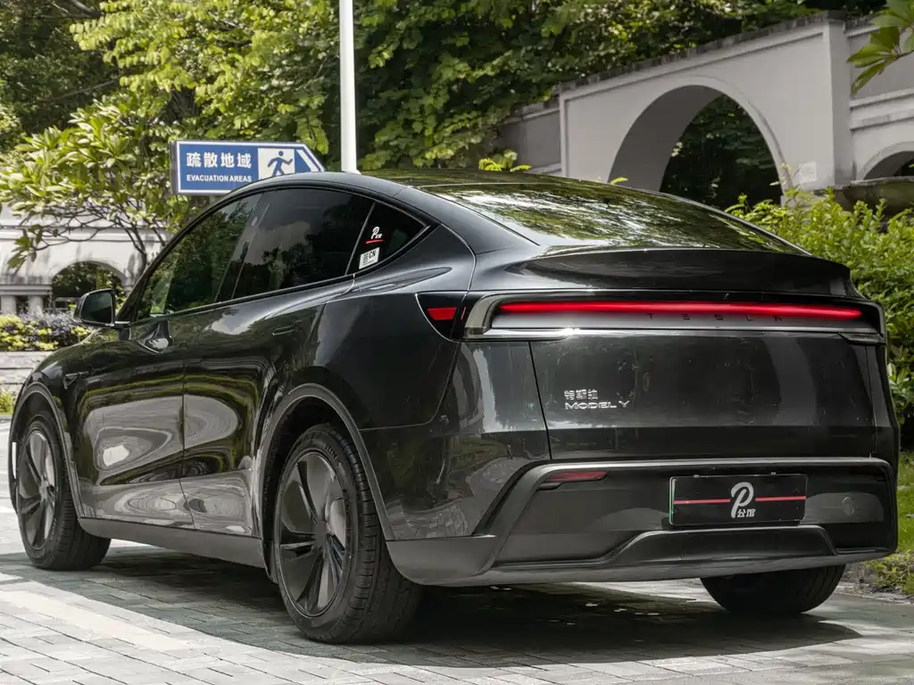 Tesla Model Y — миниатюра 6