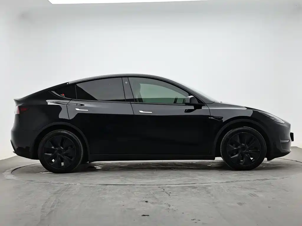 Tesla Model Y — миниатюра 5