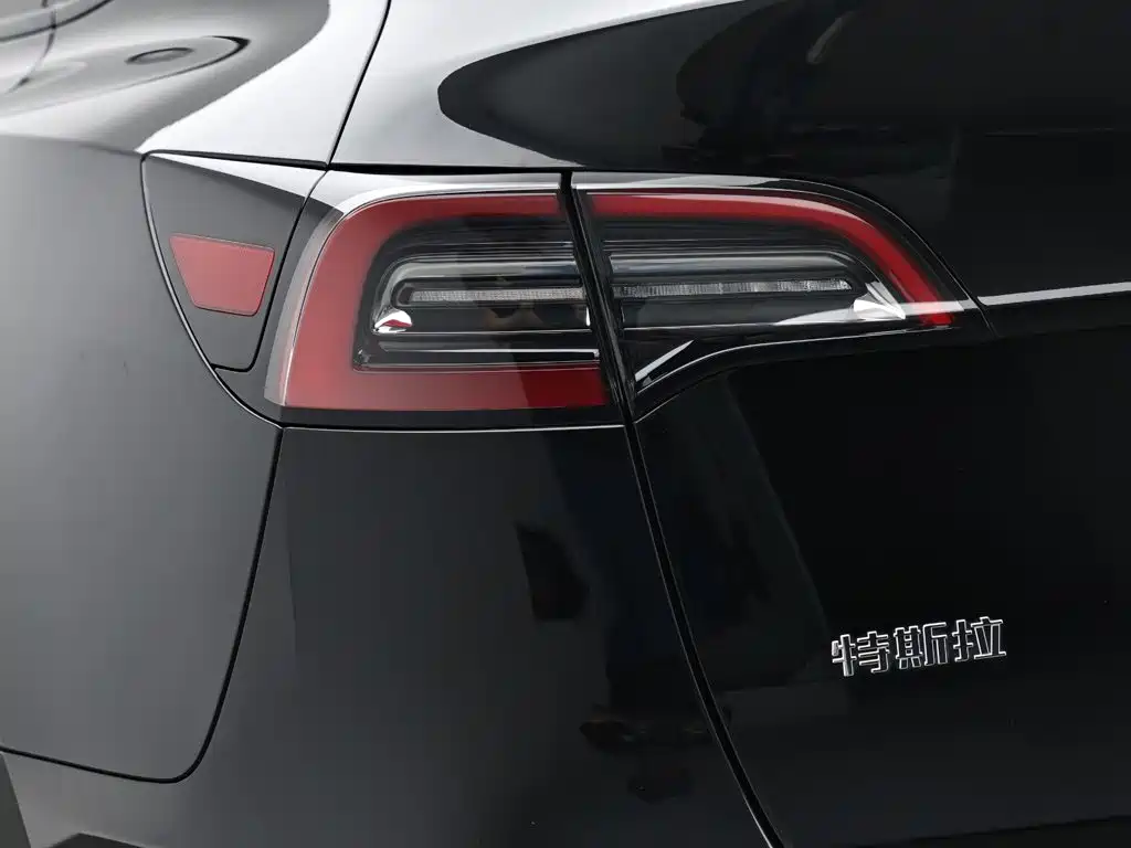 Tesla Model Y — миниатюра 7
