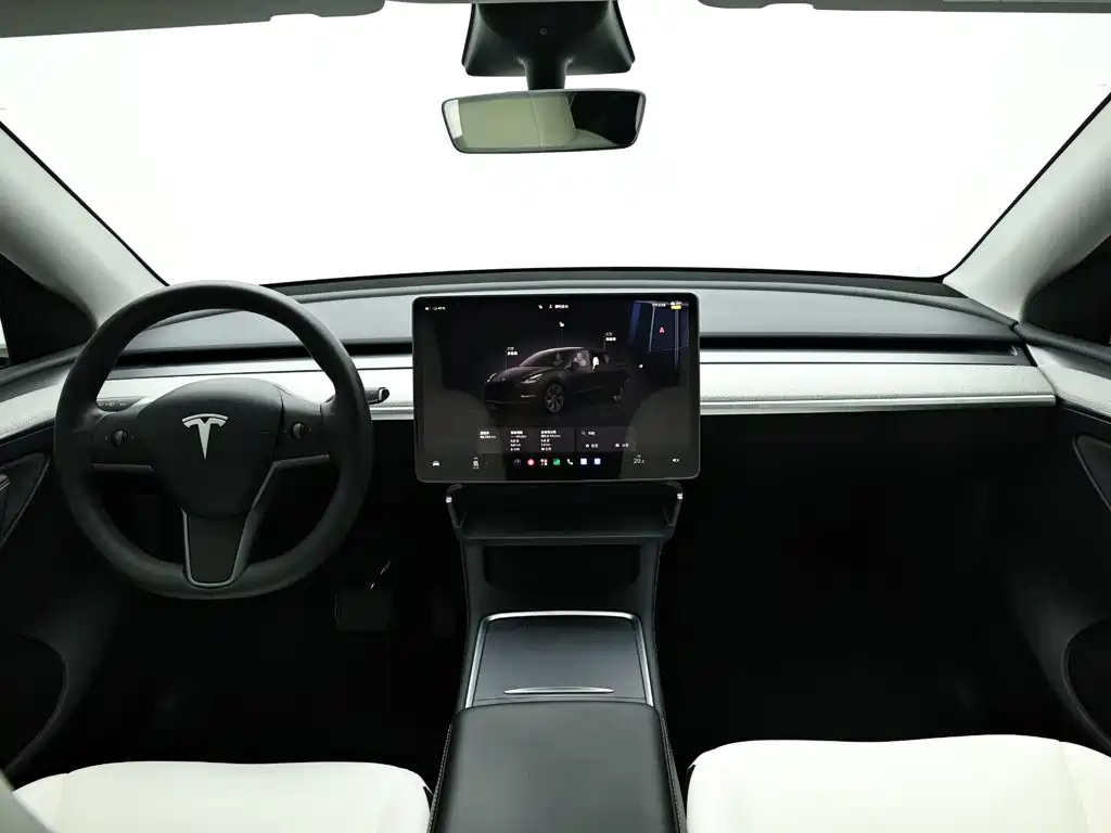 Tesla Model Y — миниатюра 15