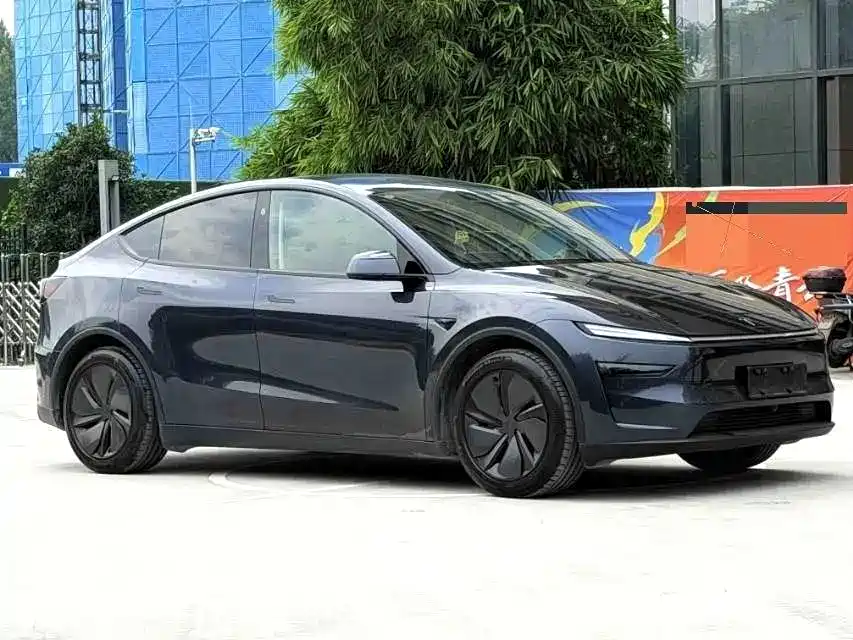 Tesla Model Y — миниатюра 3