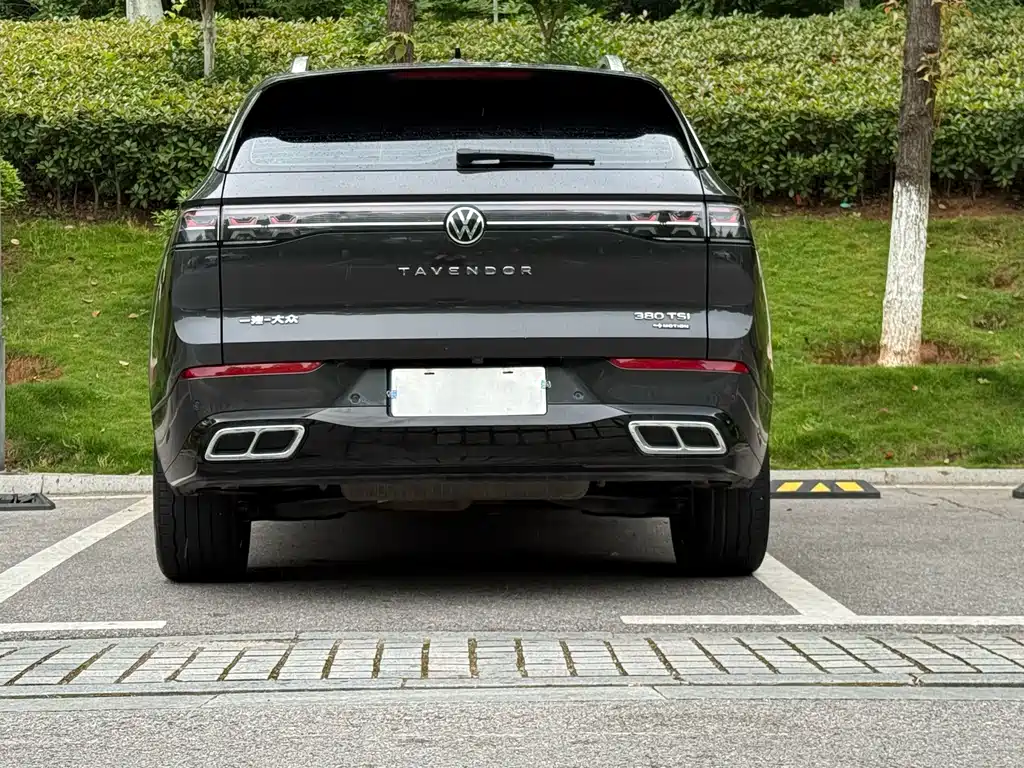 Volkswagen Tavendor — миниатюра 9
