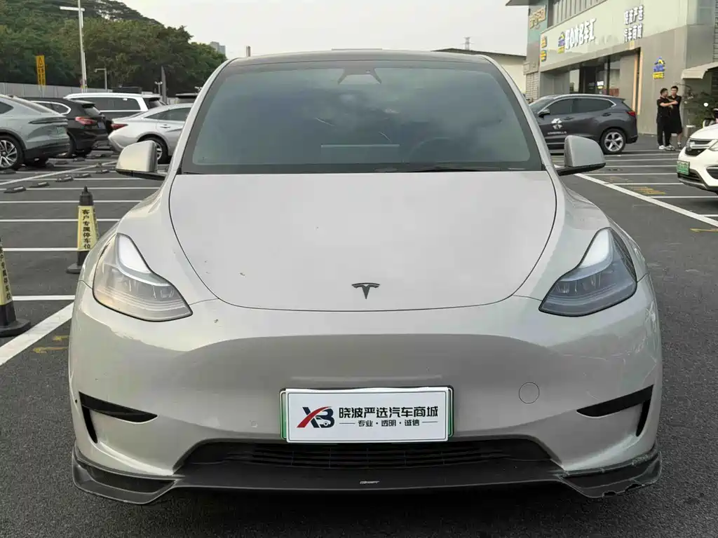 Tesla Model Y — миниатюра 2