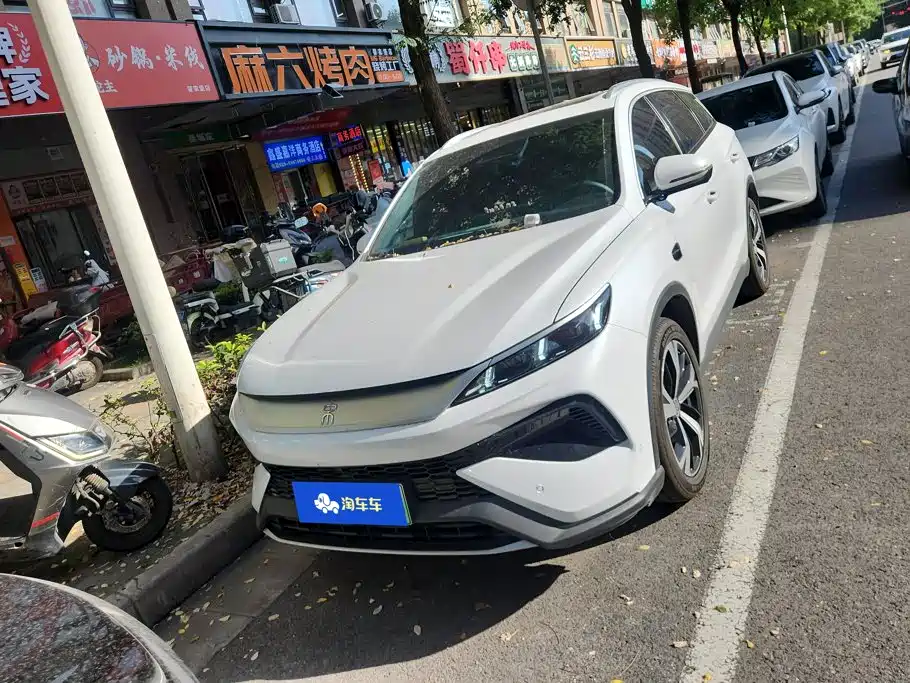 BYD Pro New Energy — миниатюра 2