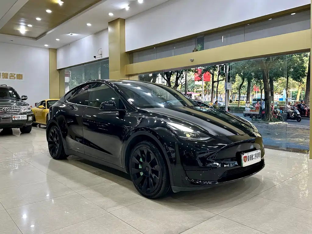 Tesla Model Y — миниатюра 6