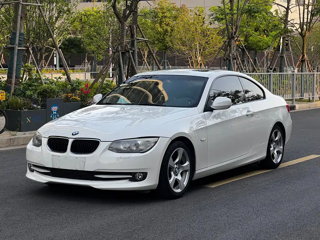 BMW 3 Series (Import) 2012