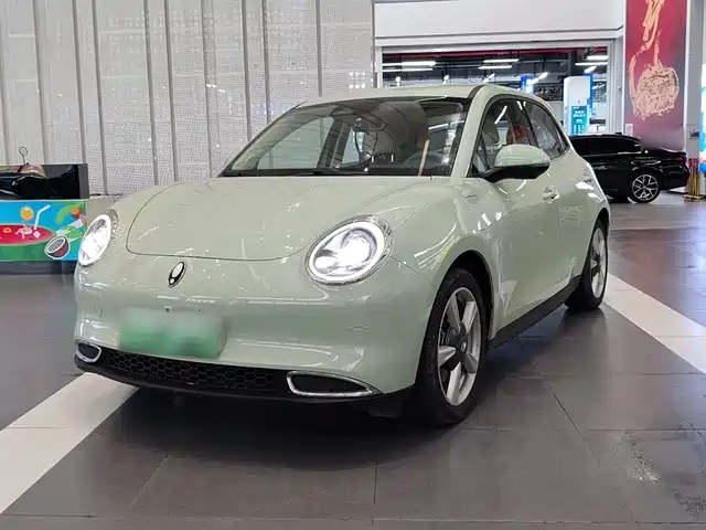 EULER  GOOD CAT 2023