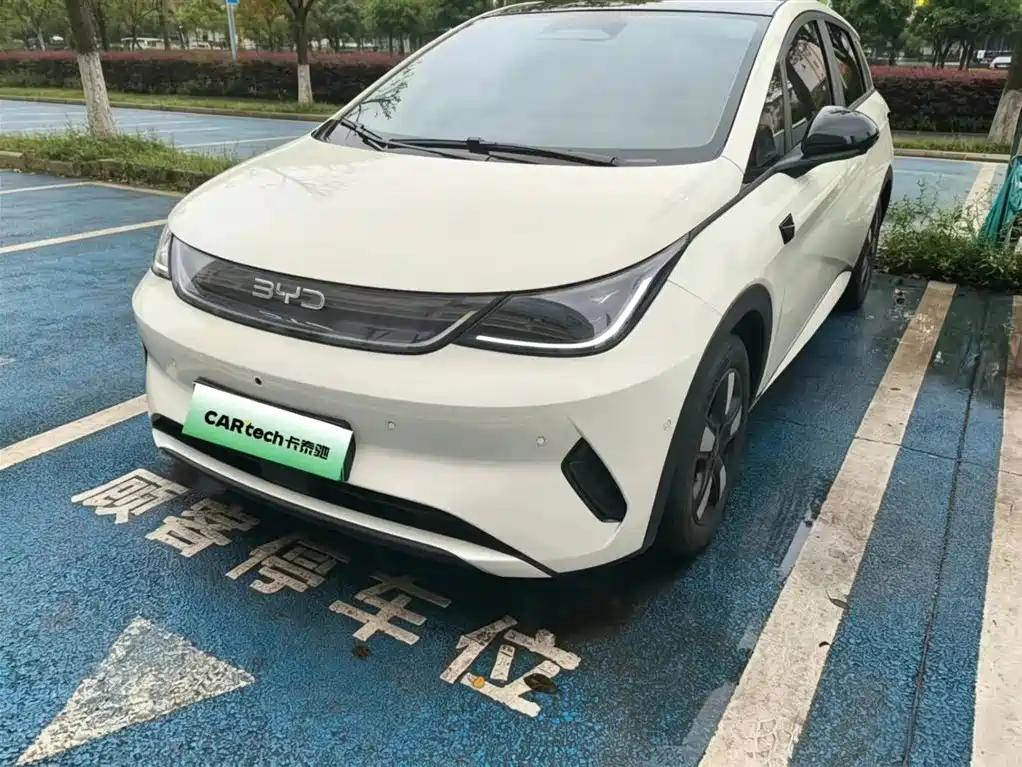 Byd Dolphin 2025