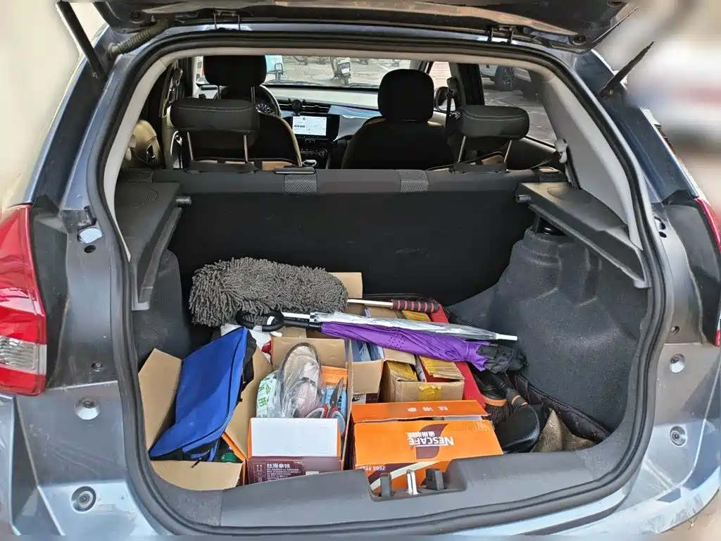 Chery Tiggo 3x — миниатюра 15