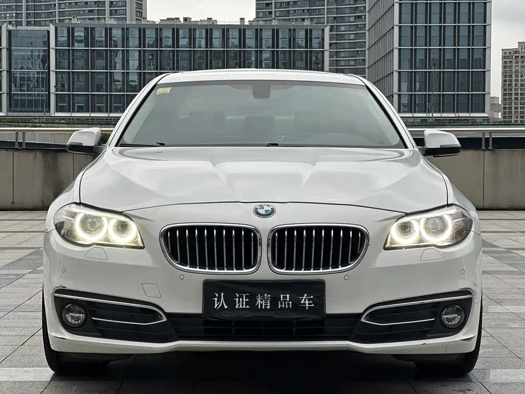 BMW 5 Series — миниатюра 2