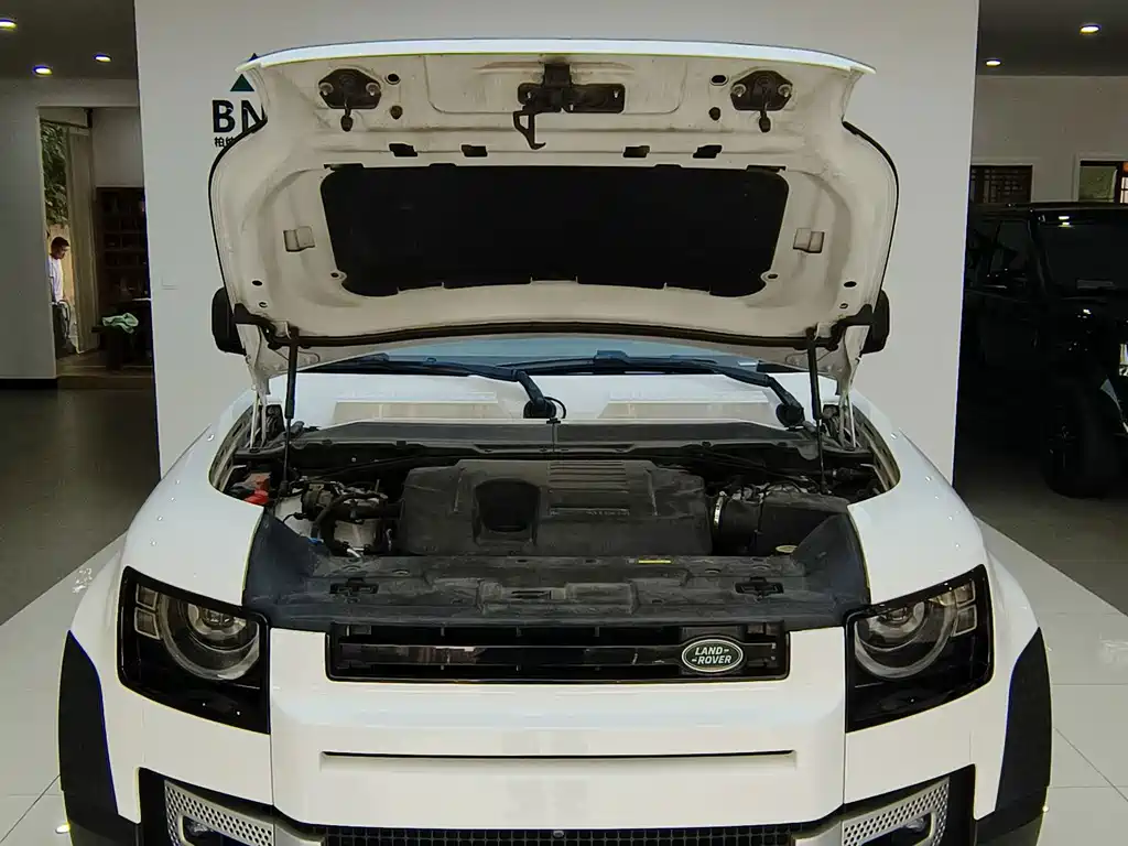 Land Rover Defender — миниатюра 30