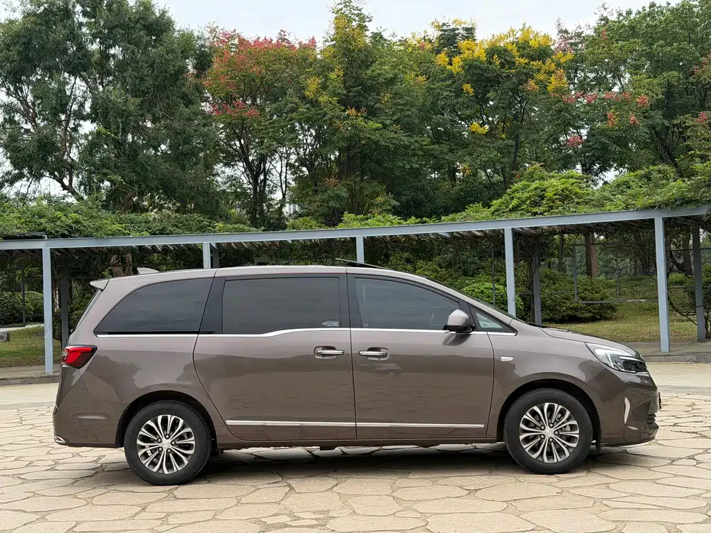 Buick GL8 — миниатюра 11