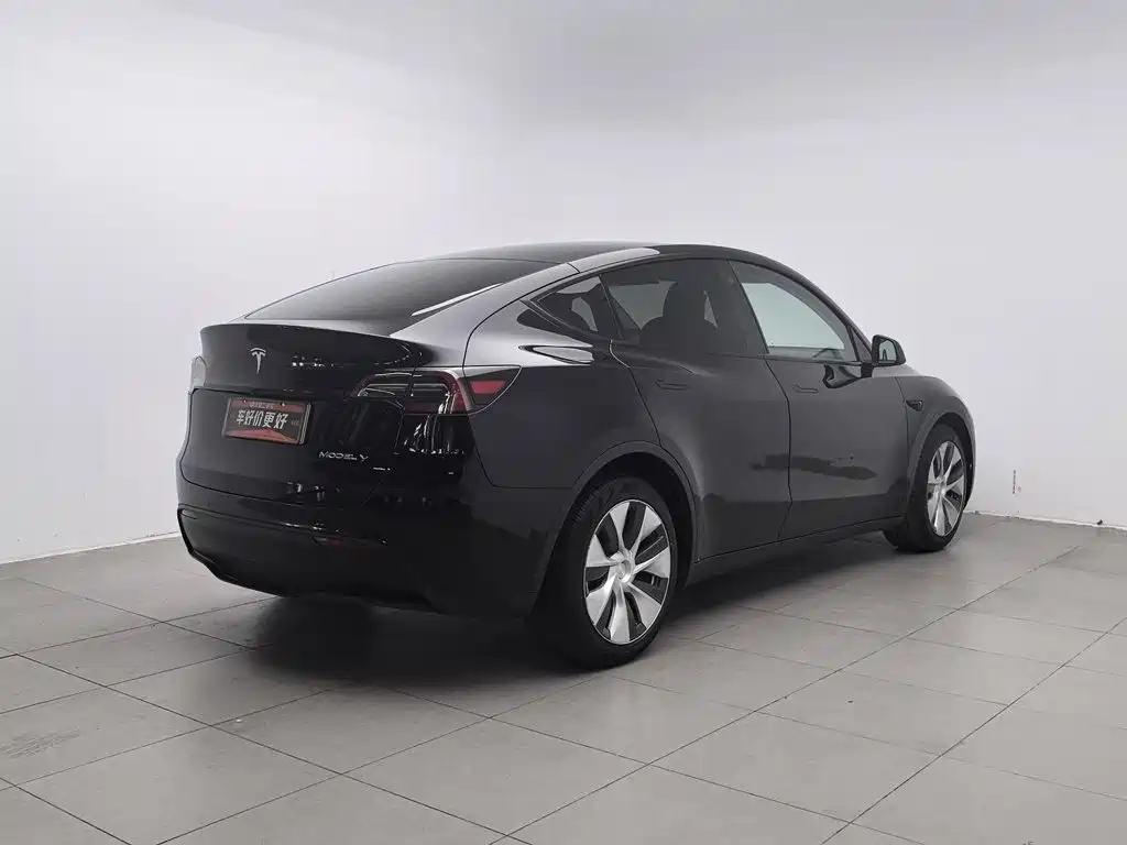 Tesla Model Y — миниатюра 2