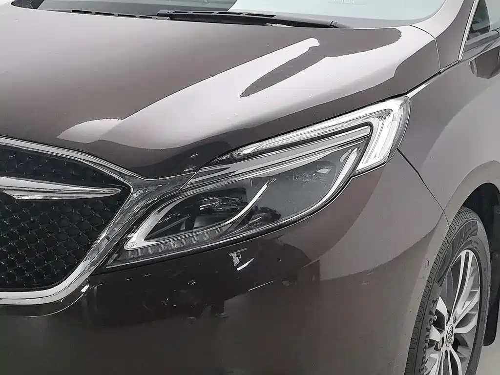 Buick GL8 — миниатюра 7