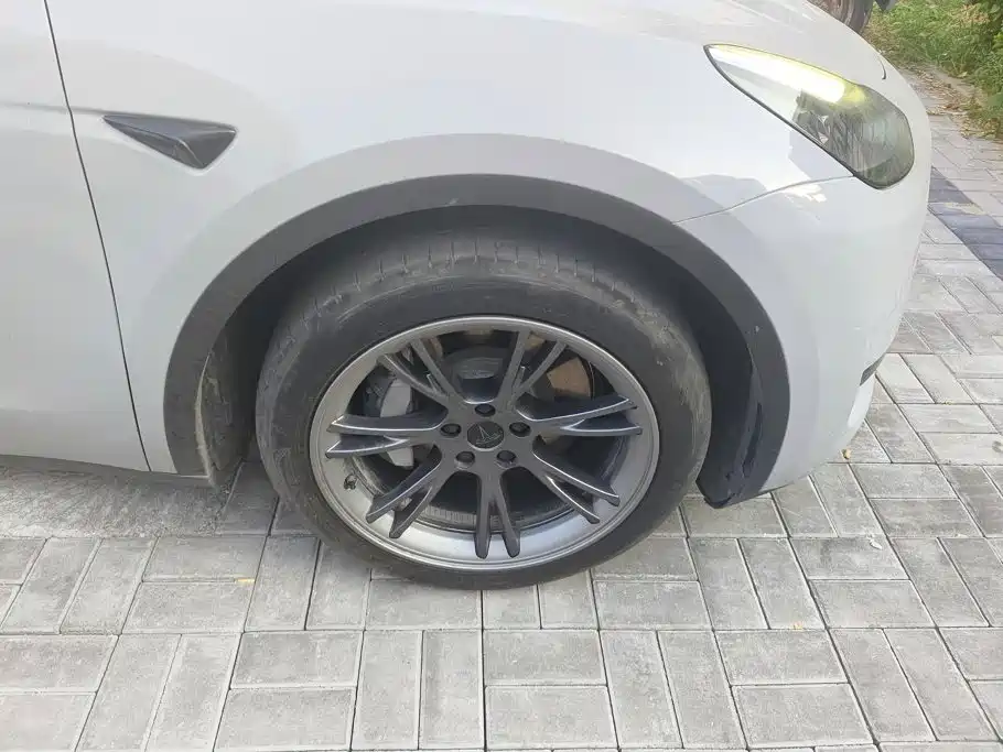 Tesla Model Y — миниатюра 6