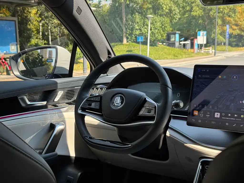 BYD Tang New Energy — миниатюра 8