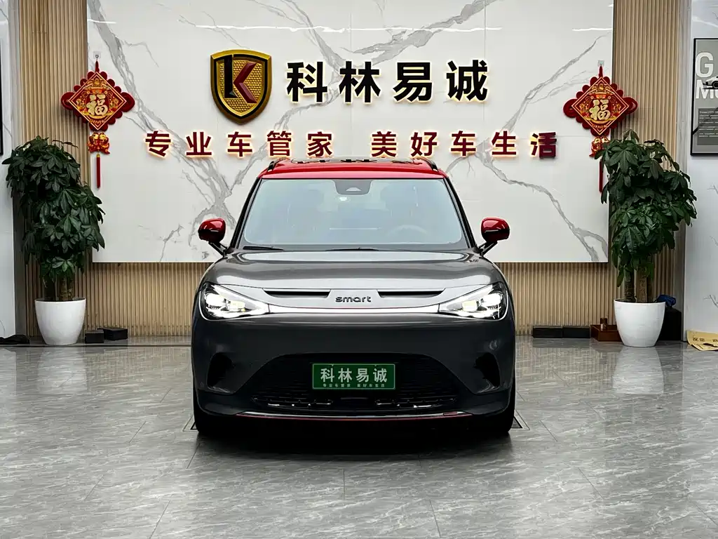 smart Smart #1 — миниатюра 2