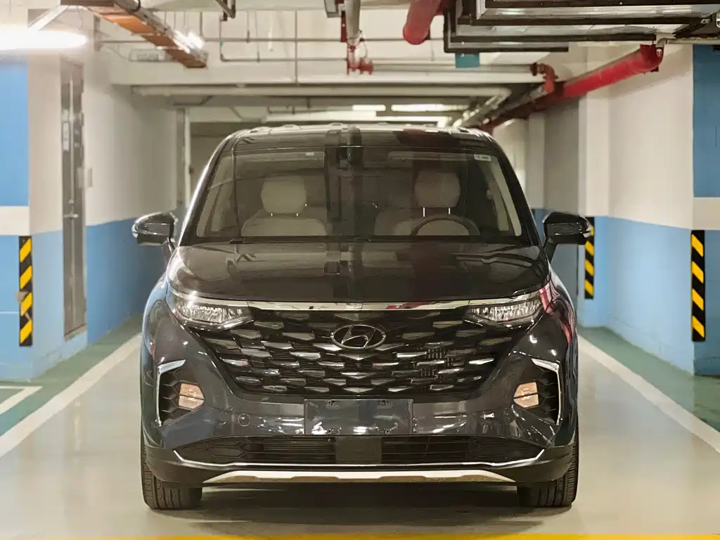 Hyundai Custo — миниатюра 2