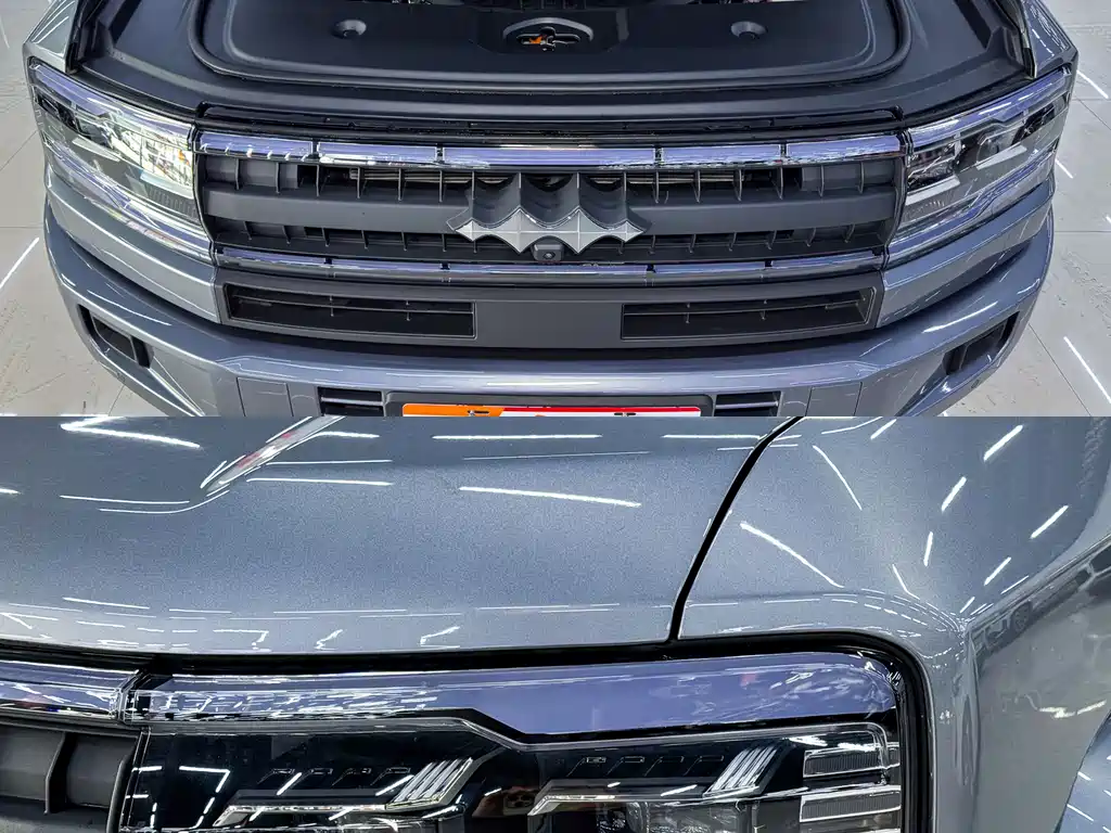 FANG CHENG BAO LEOPARD 5