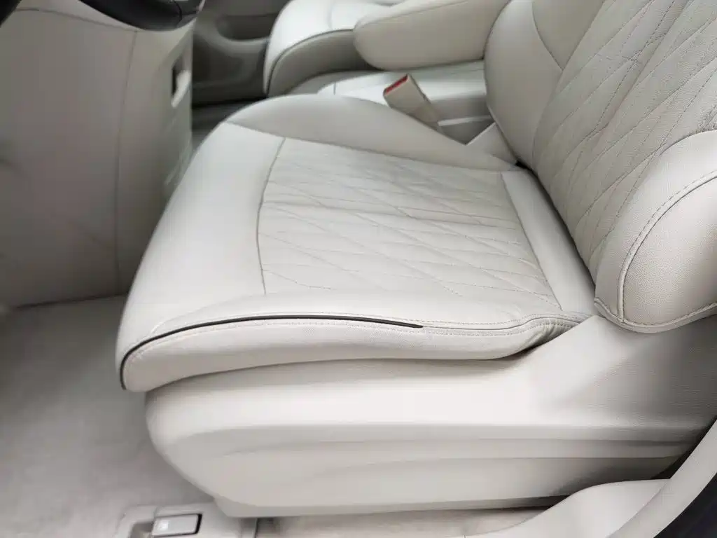 Buick GL8 — миниатюра 20