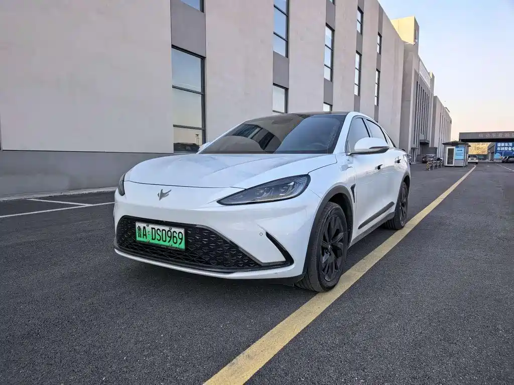 ARCFOX EXTREME FOX POLAR FOX ALPHA S