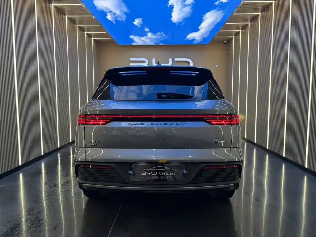 BYD Pro New Energy — миниатюра 15
