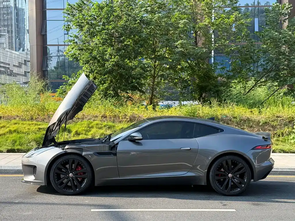 Jaguar F-TYPE — миниатюра 10