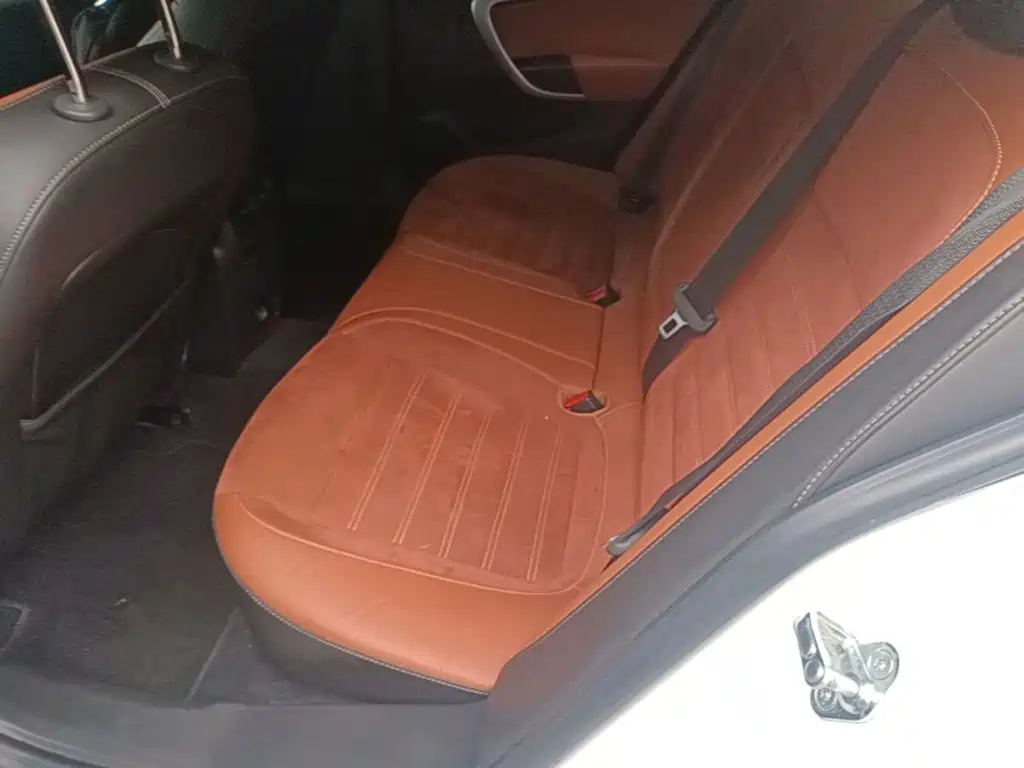 Buick Regal — миниатюра 17