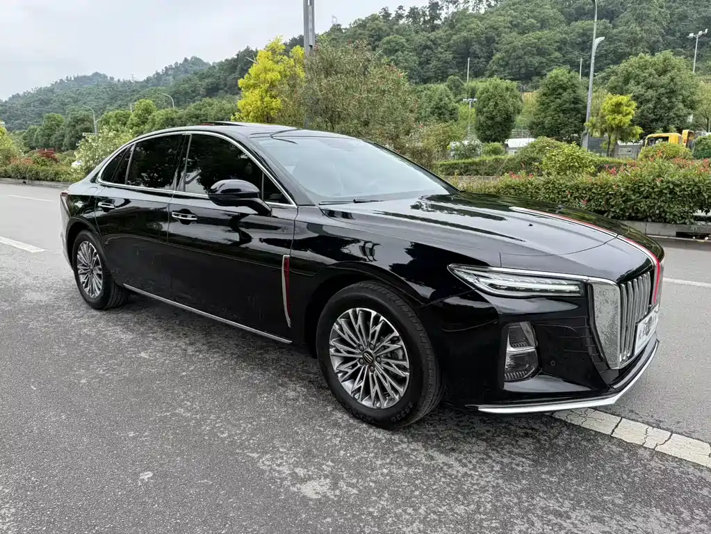 Hongqi H5 2024 2.0T AT
