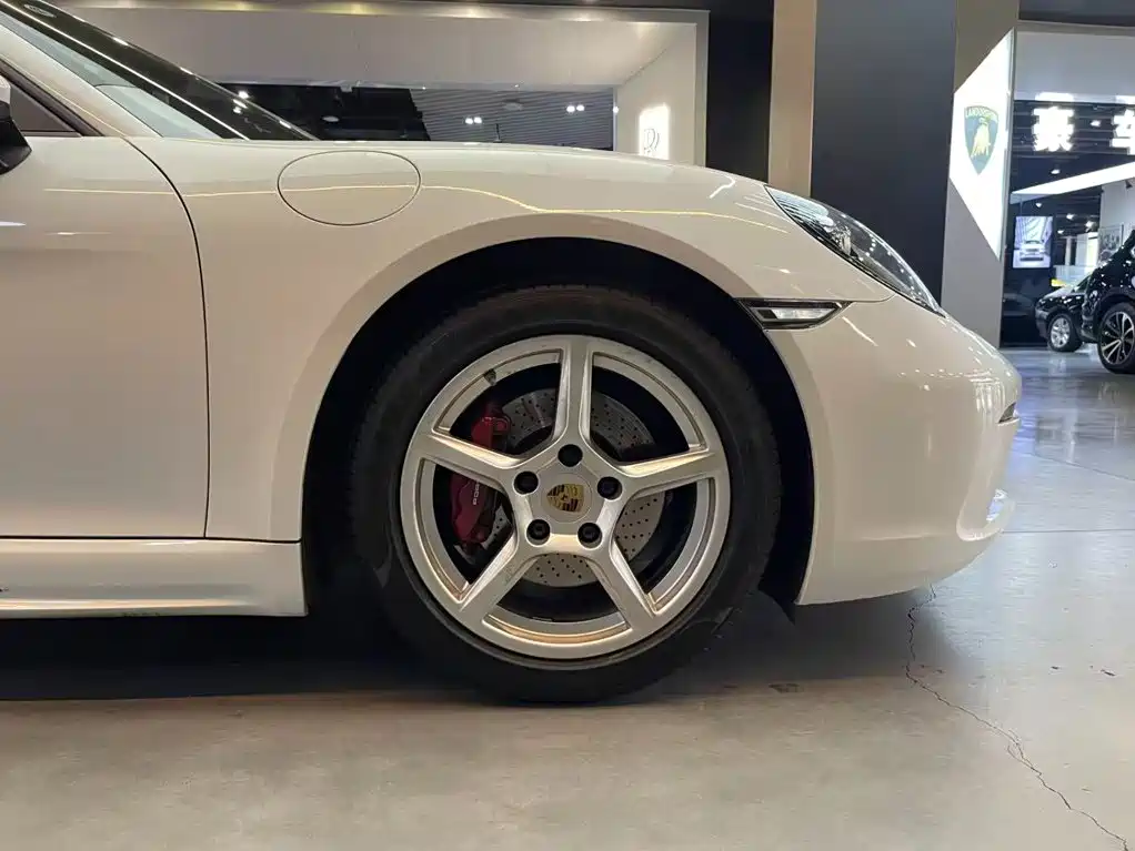 Porsche 718 — миниатюра 16