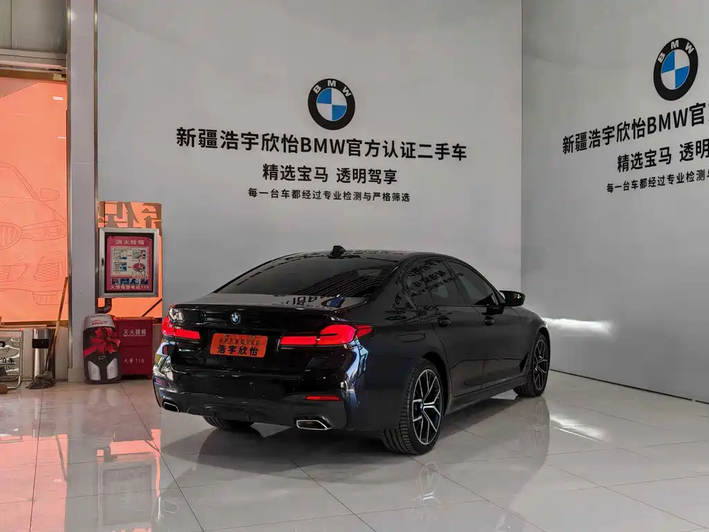 BMW 5 Series (Import) — миниатюра 6