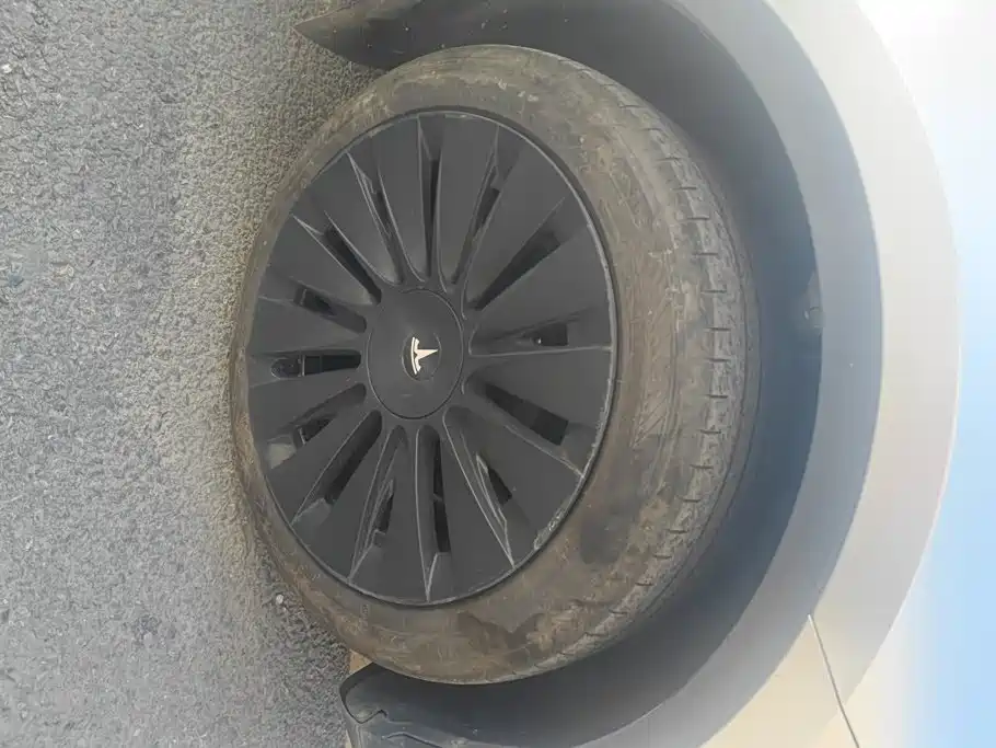 Tesla Model Y — миниатюра 6