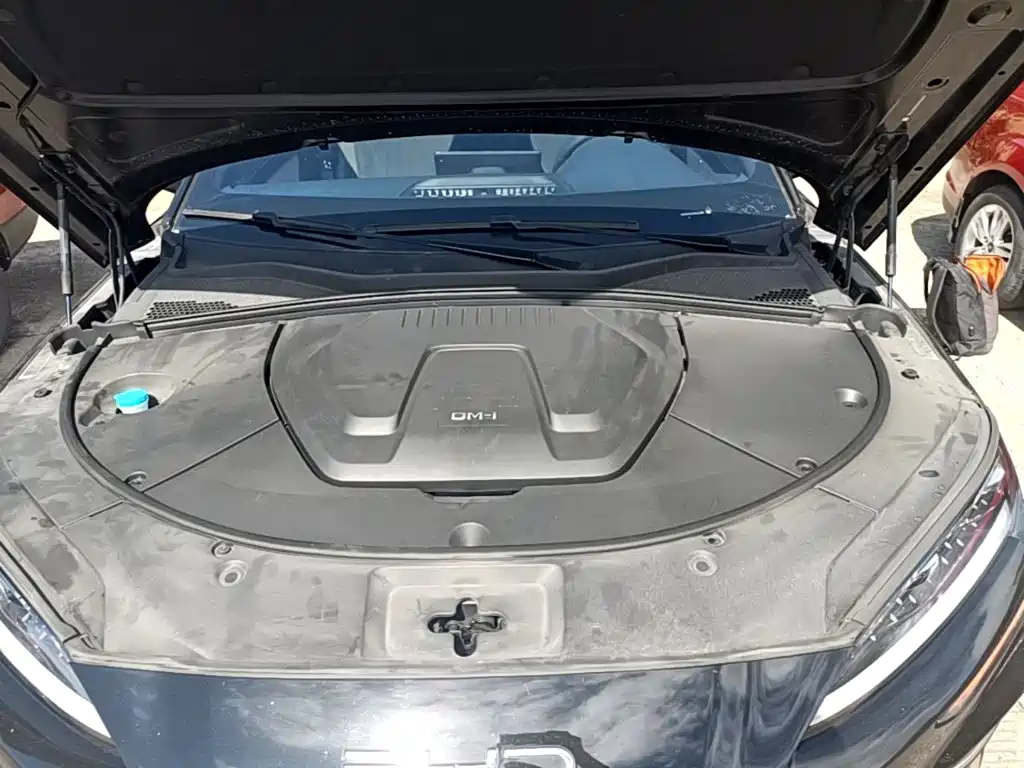 BYD PLUS New Energy — миниатюра 20