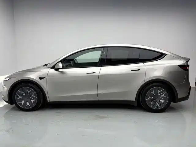 Tesla Model Y L — миниатюра 3