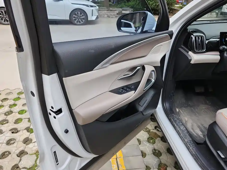 BYD Pro New Energy — миниатюра 7