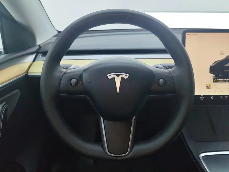 Tesla Model Y — миниатюра 15